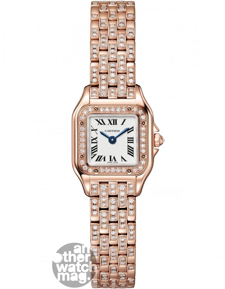 CARTIER Cartier PANTHERE WJPN0063