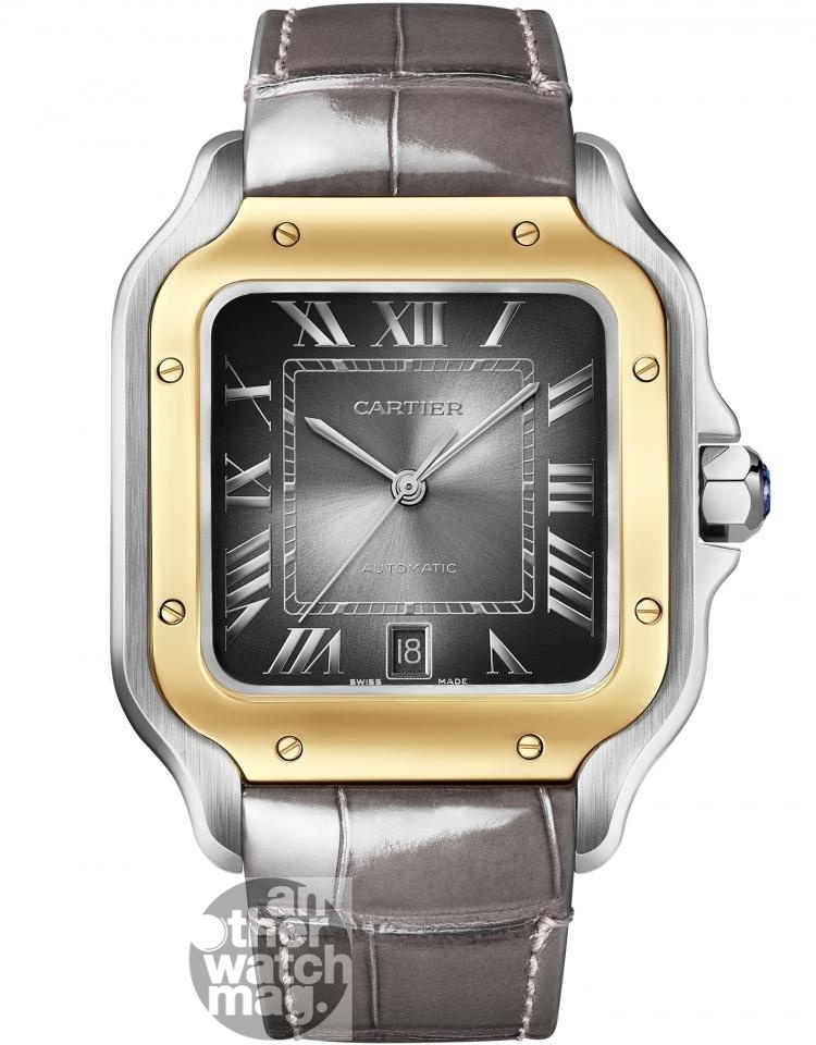 CARTIER Cartier SANTOS W2SA0030