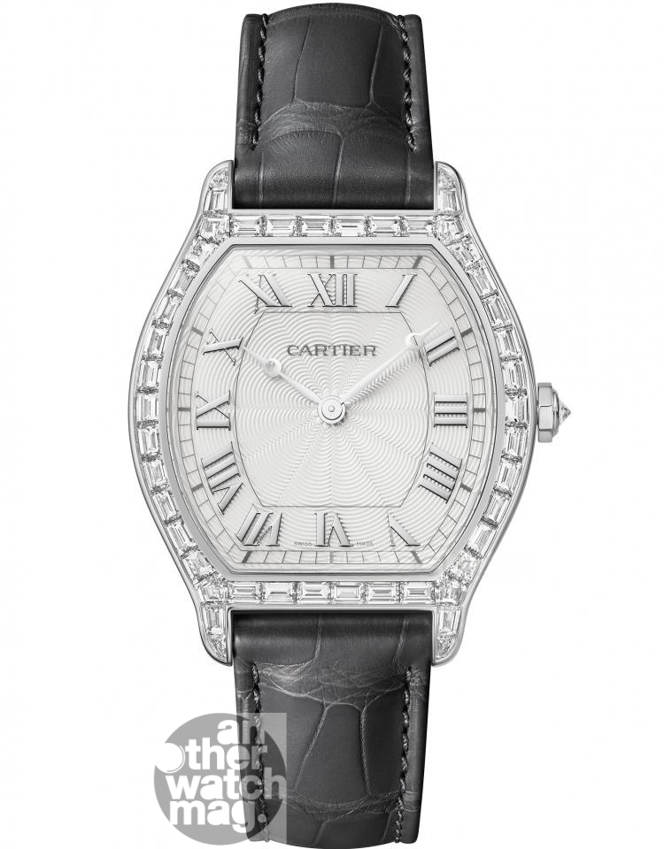 CARTIER Cartier TORTUE HPI01830