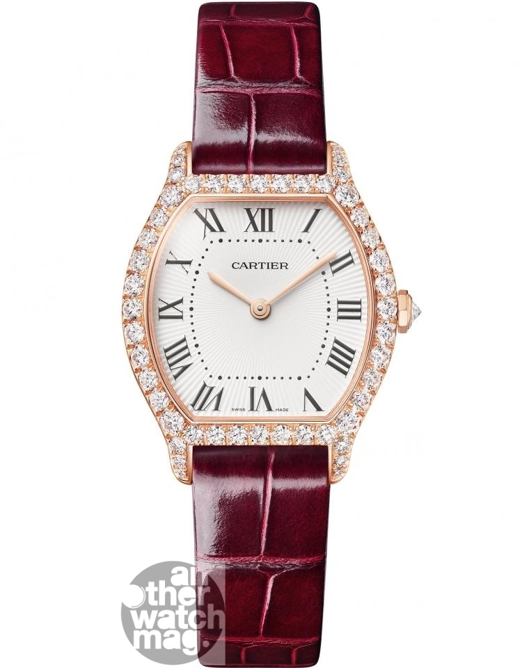 CARTIER Cartier TORTUE WJTO0012