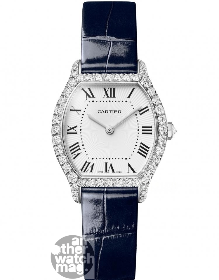 CARTIER Cartier TORTUE WJTO0014