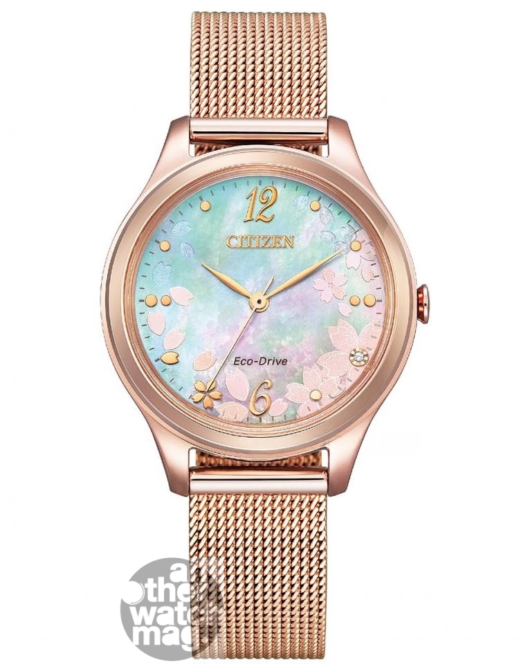 CITIZEN Citizen LADY EM0508-80D