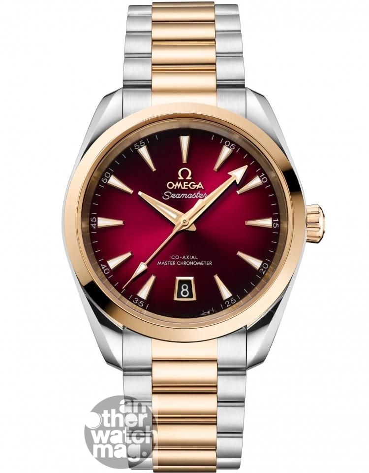 OMEGA Omega SEAMASTER 220.20.38.20.10.002
